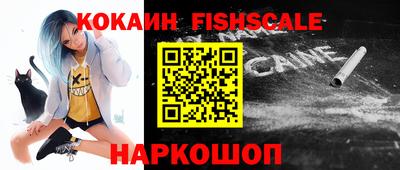 гашик Камышлов