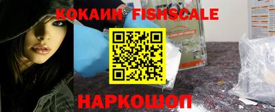 гашик Камышлов