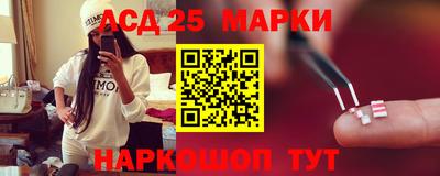 гашик Камышлов