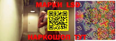 apvp Кандалакша