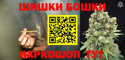 гашик Камышлов