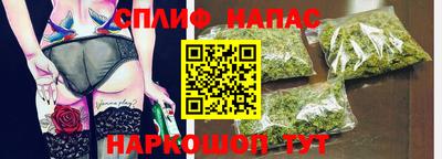 гашик Камышлов