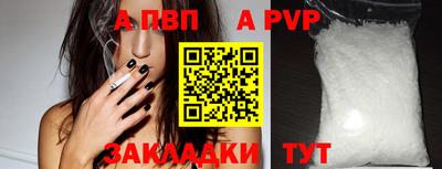 гашик Камышлов