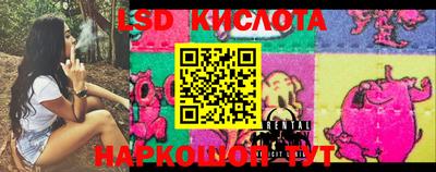 гашик Камышлов