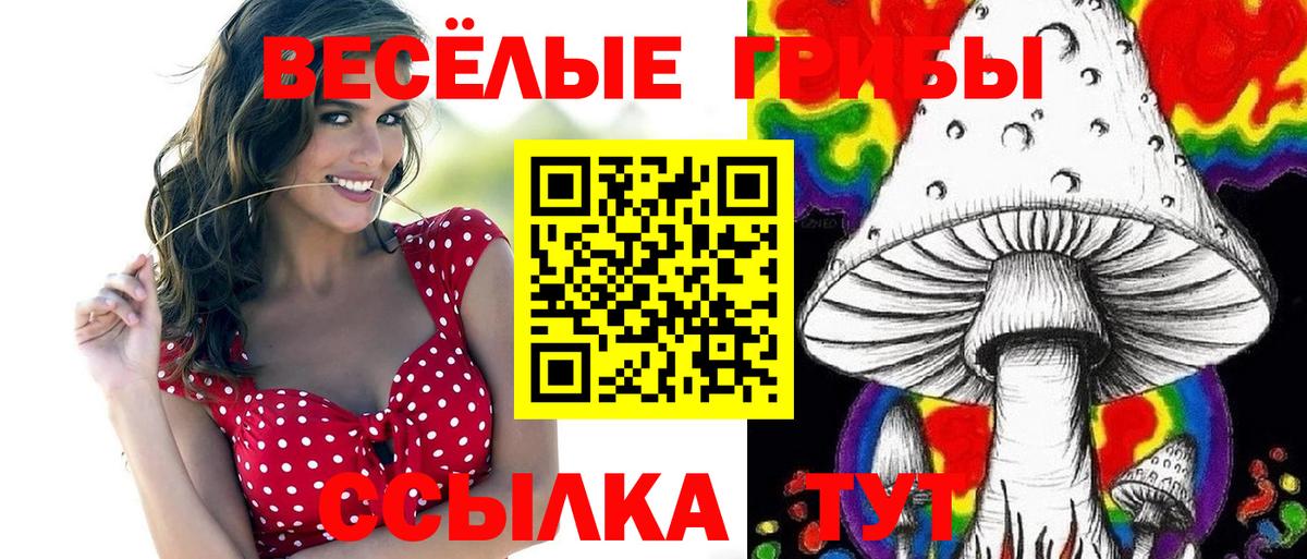 Кунгур  Галлюциногенные грибы Psilocybe  Галлюциногенные грибы ЛСД  Вход с VPN 